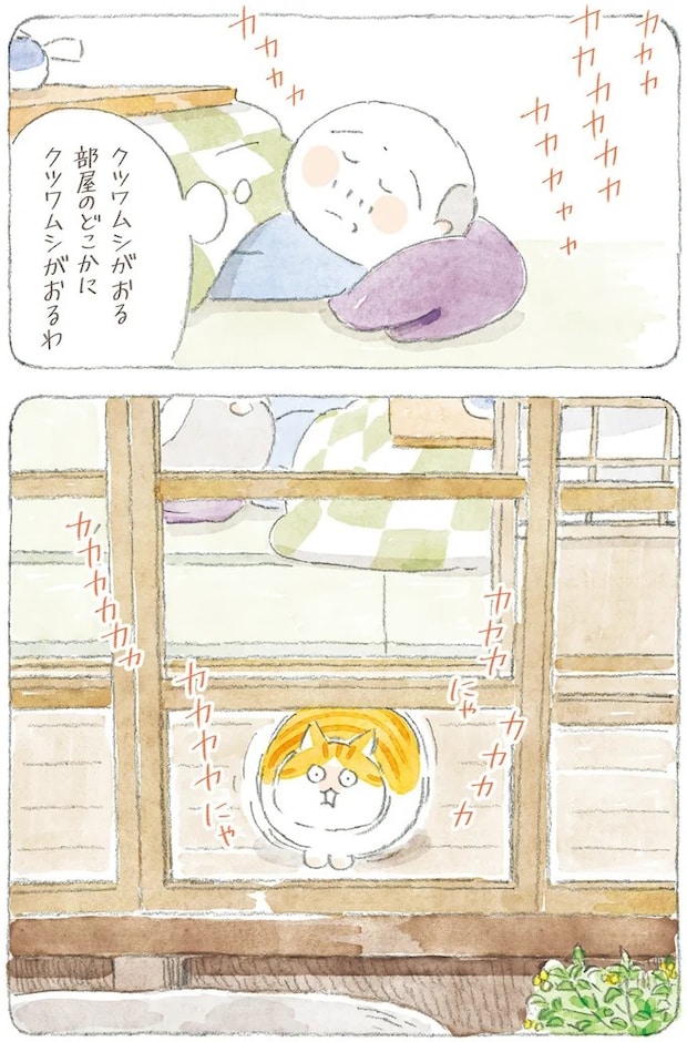 16341783.webp
