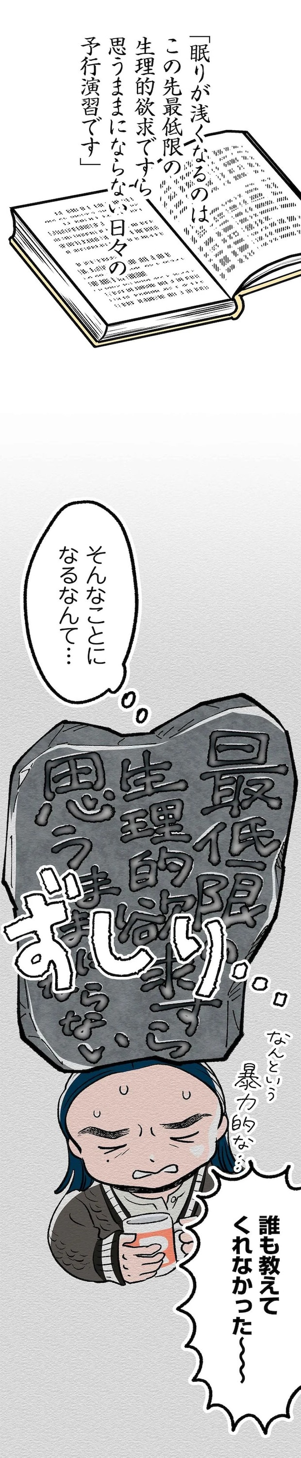 391.webp