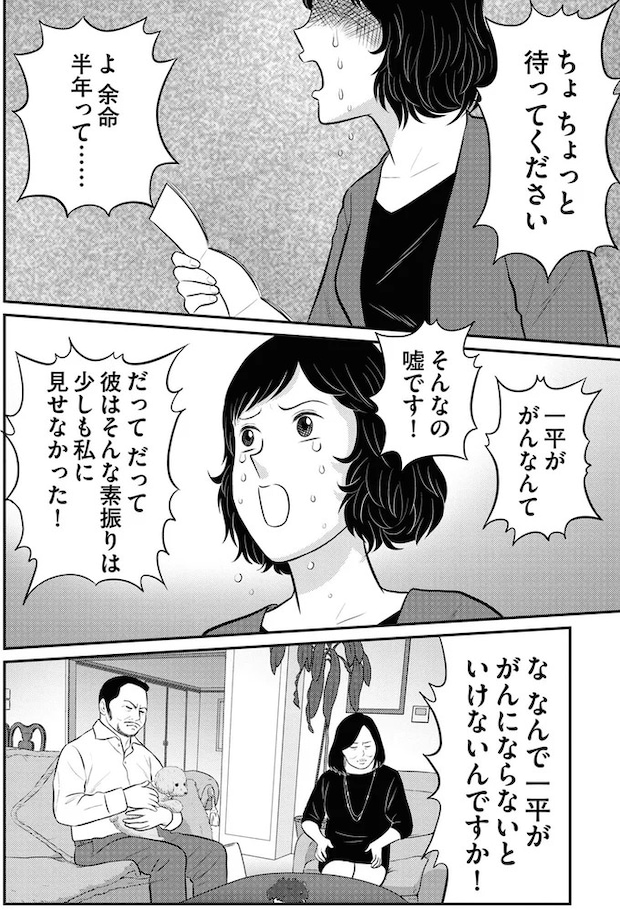 219.webp