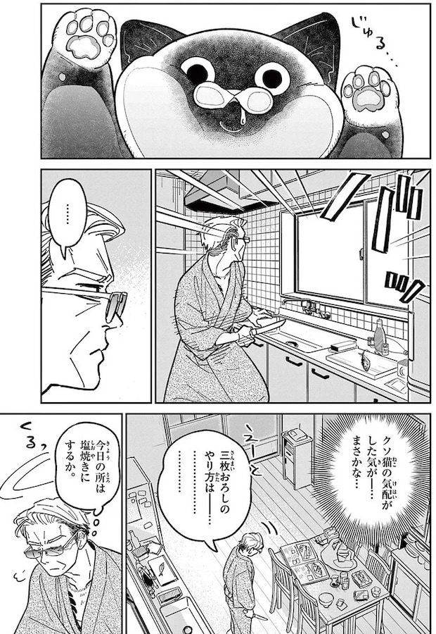 16204494.webp