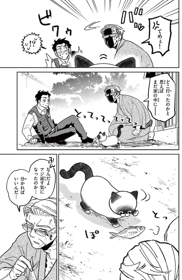 16204504.webp