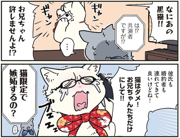 16258943.webp