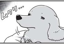 シニアの愛犬たちの夜。トイレの場所がわからなくて...／愛犬グミと銀次郎と過ごした日々