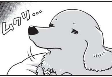 シニアの愛犬たちの夜。トイレの場所がわからなくて.../愛犬グミと銀次郎と過ごした日々