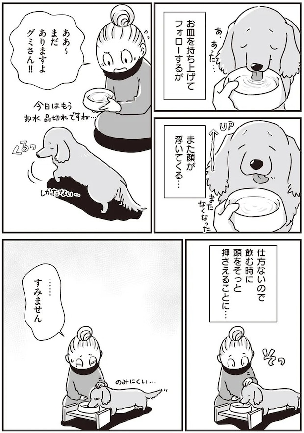 16295629.webp