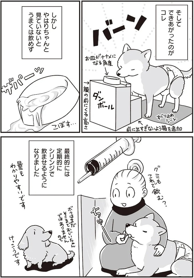16295631.webp