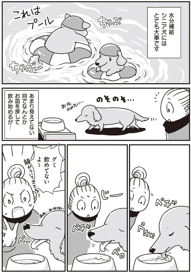 16295628.webp