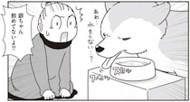 シニア犬の目が見えにくくなり、水が飲めなくなってきた...。水分補給どうする？／愛犬グミと銀次郎と過ごした日々