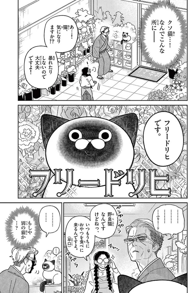 16204566.webp