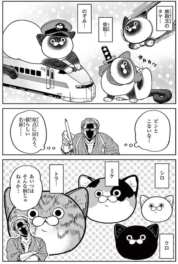 16204605.webp