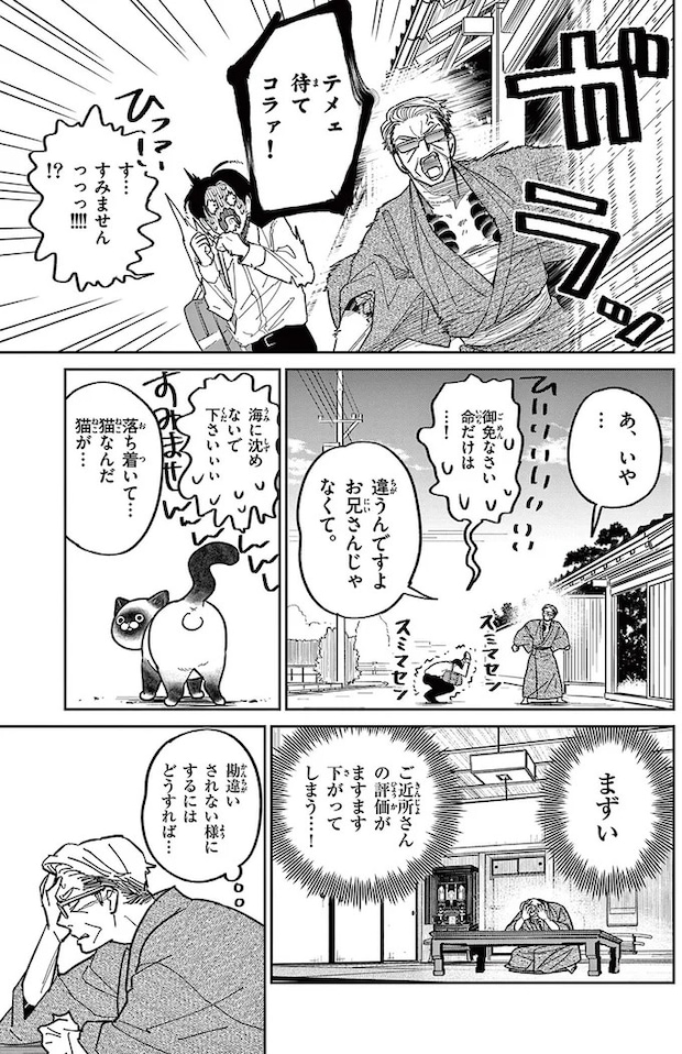 16204603.webp