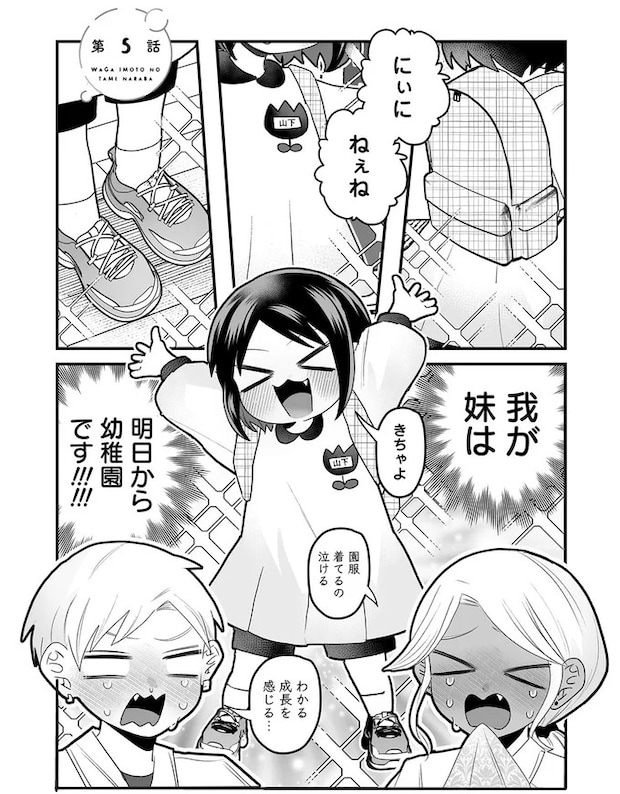 16417292.webp