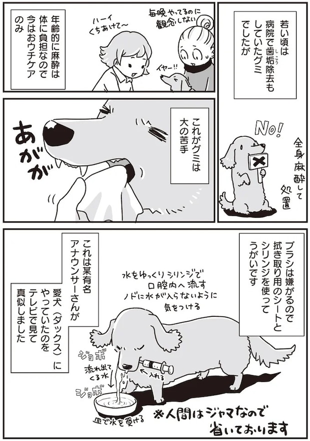 16295572.webp