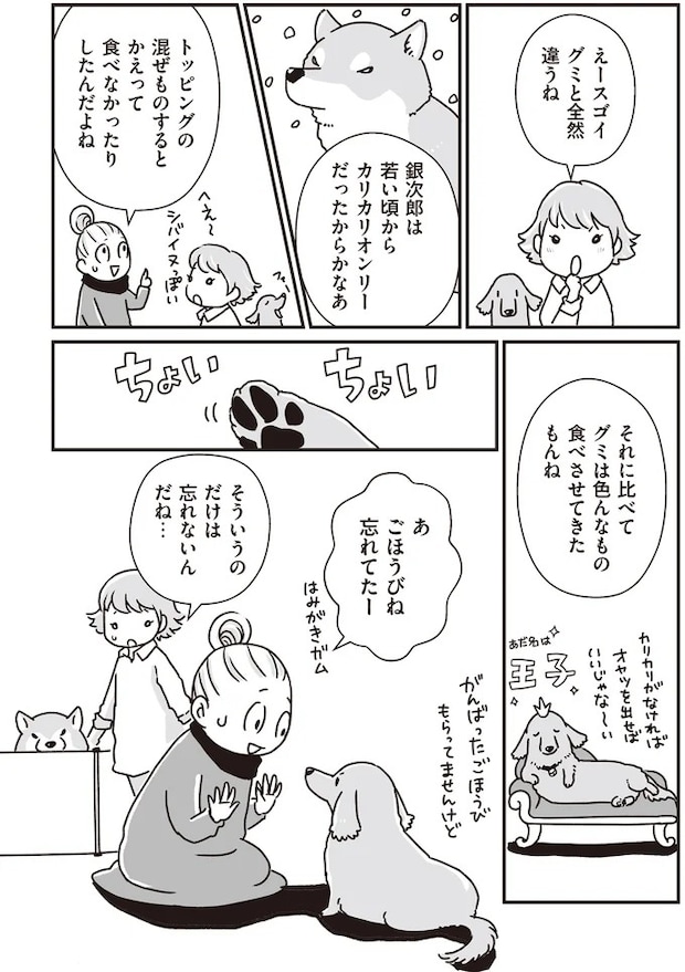 16295574.webp