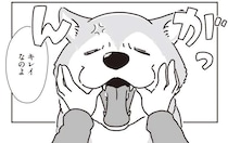 シニアの愛犬。苦手なお口ケアを頑張った後のごほうびは忘れない！／愛犬グミと銀次郎と過ごした日々