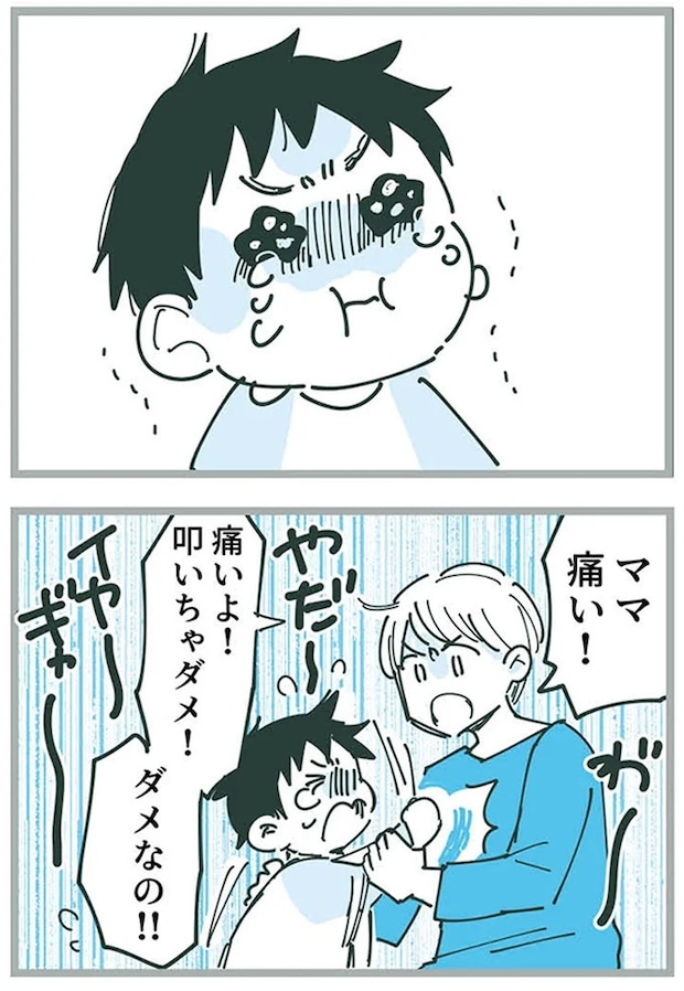 16625446.webp