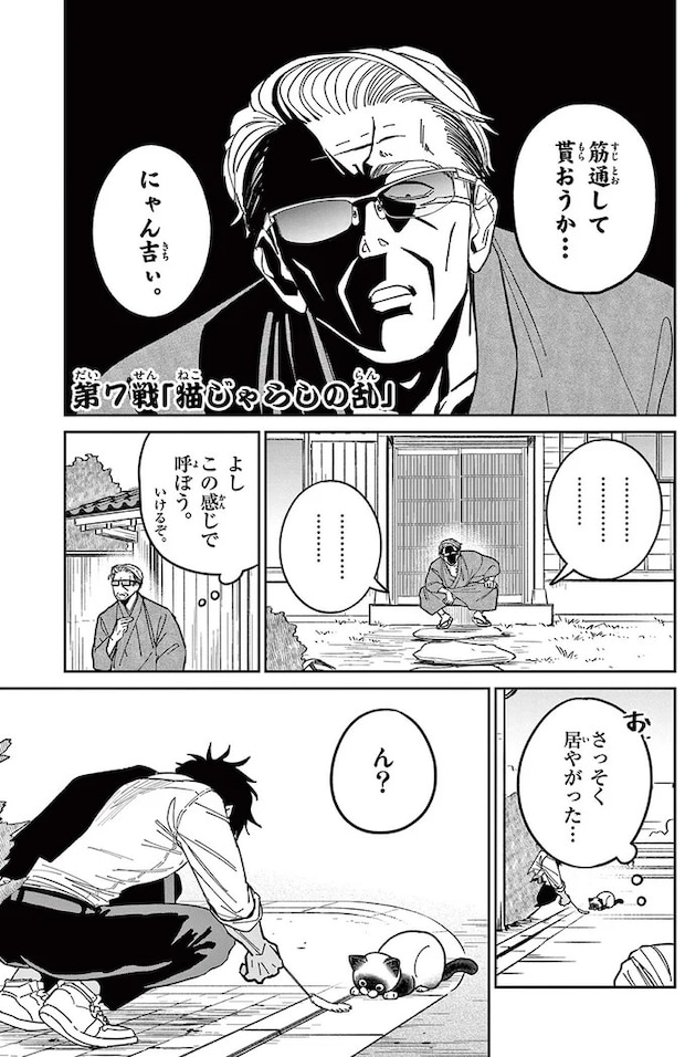 16204690.webp