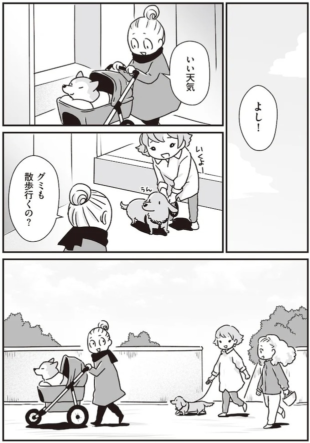 16295550.webp