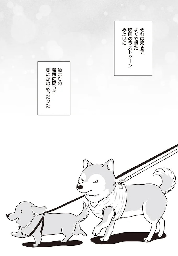 16295556.webp