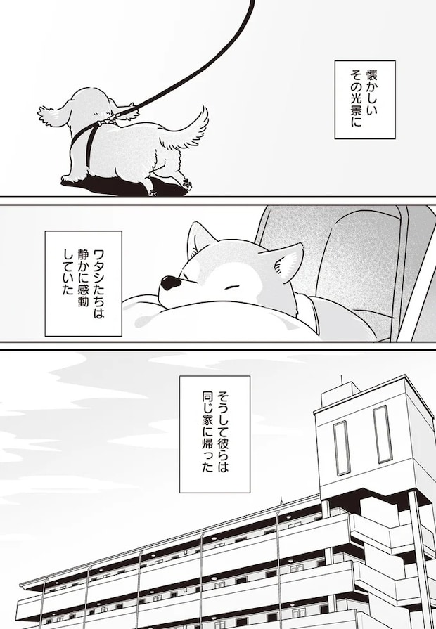 16295557.webp