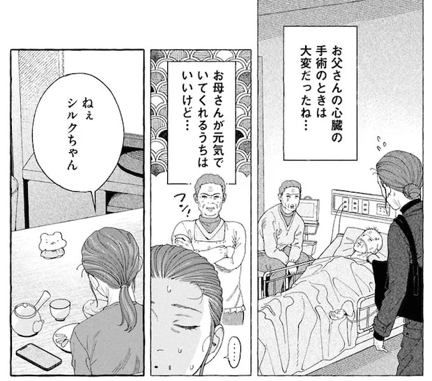 16381235.webp