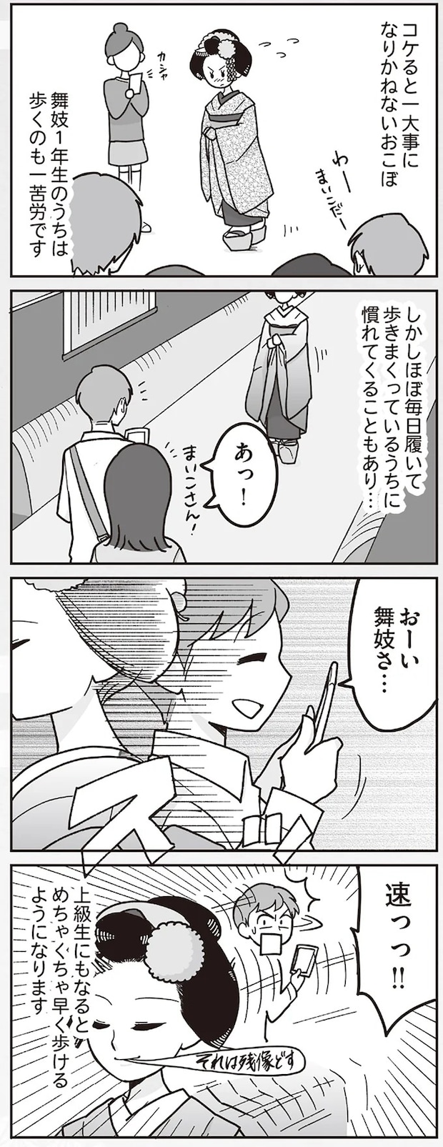 16337211.webp