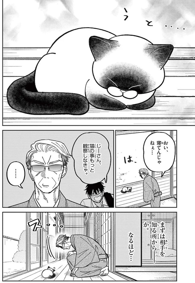 16211532.webp