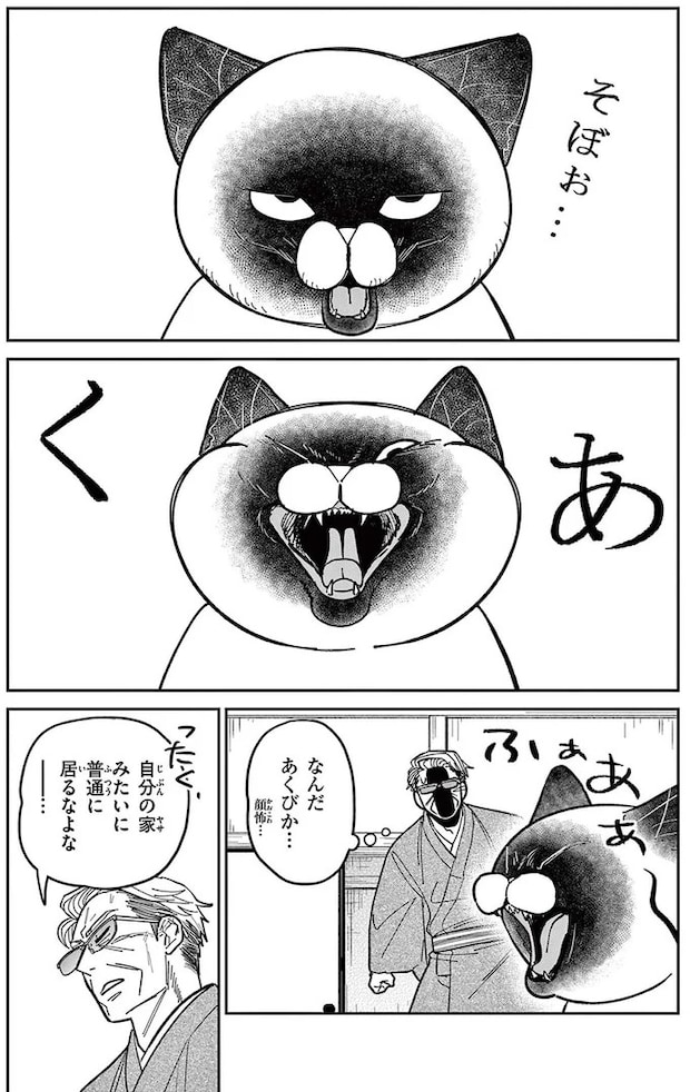 16211531.webp