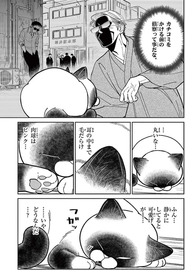 16211533.webp