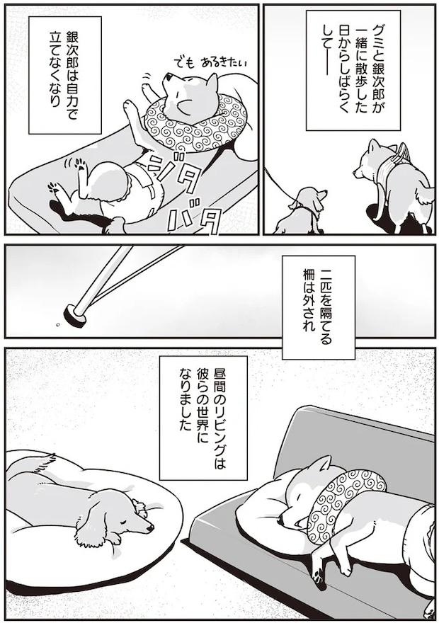 16295545.webp