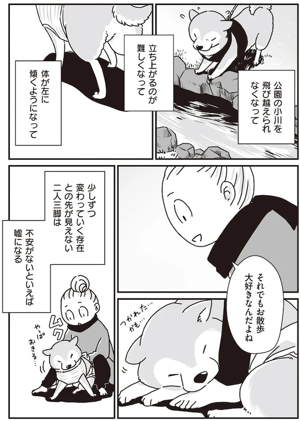 16295541.webp