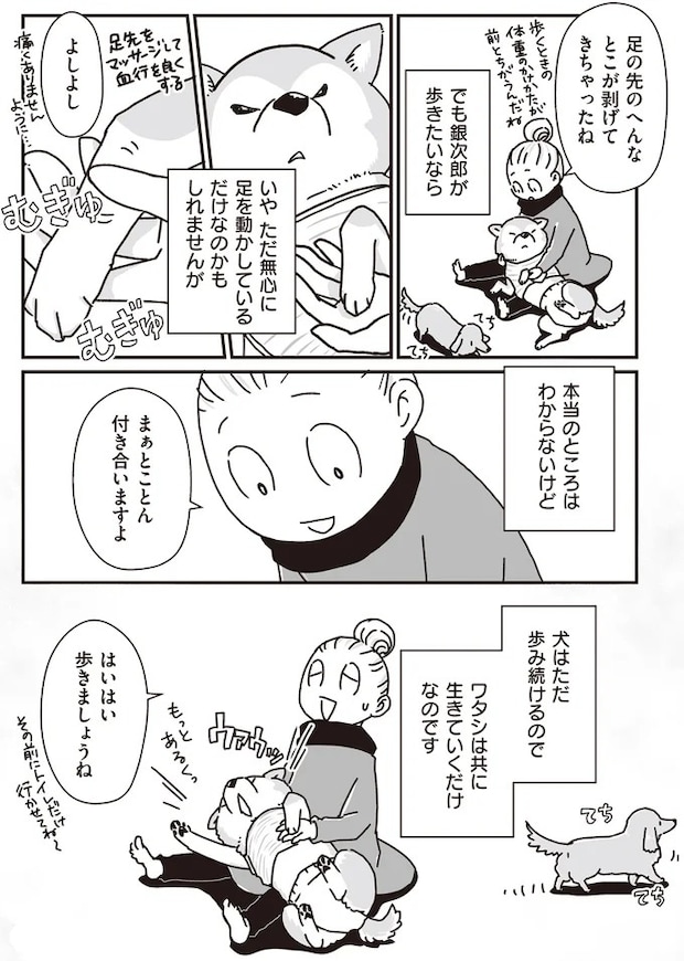 16295542.webp