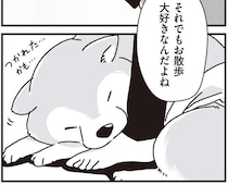 愛犬が年をとって足が弱ってきた。それでもお散歩大好きだから...／愛犬グミと銀次郎と過ごした日々