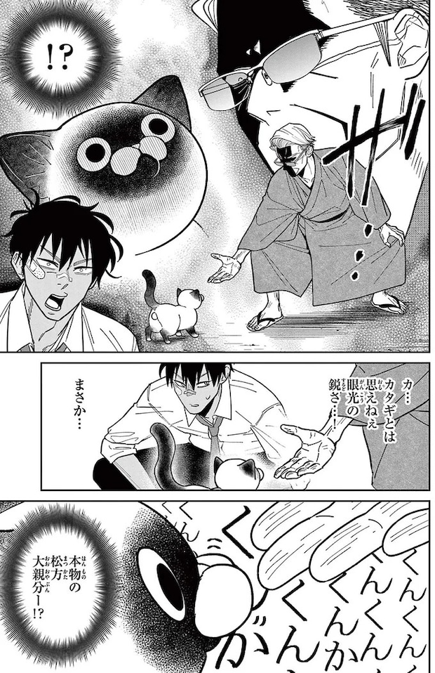 16211607.webp