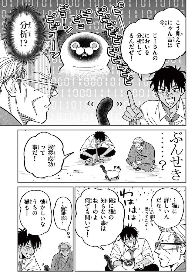 16211609.webp