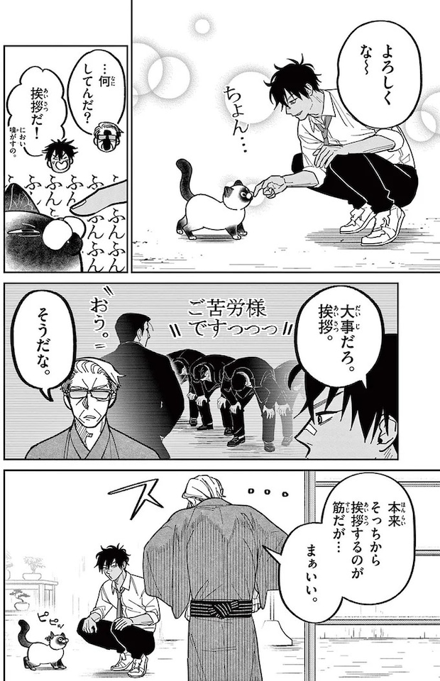 16211606.webp