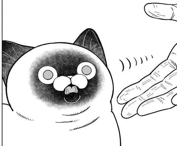 「最凶の男」と恐れられた人物が野良猫に初めてのご挨拶。猫の反応は!?/オヤジとにゃん吉