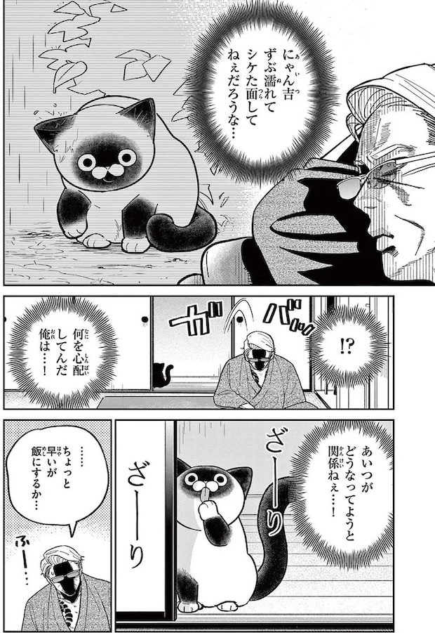 16212243.webp