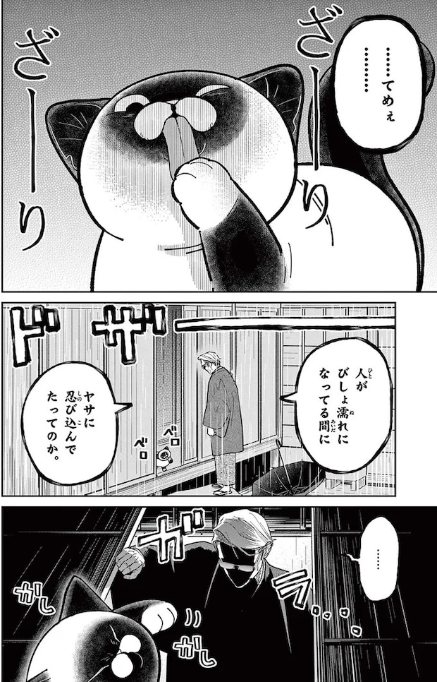 16212251.webp
