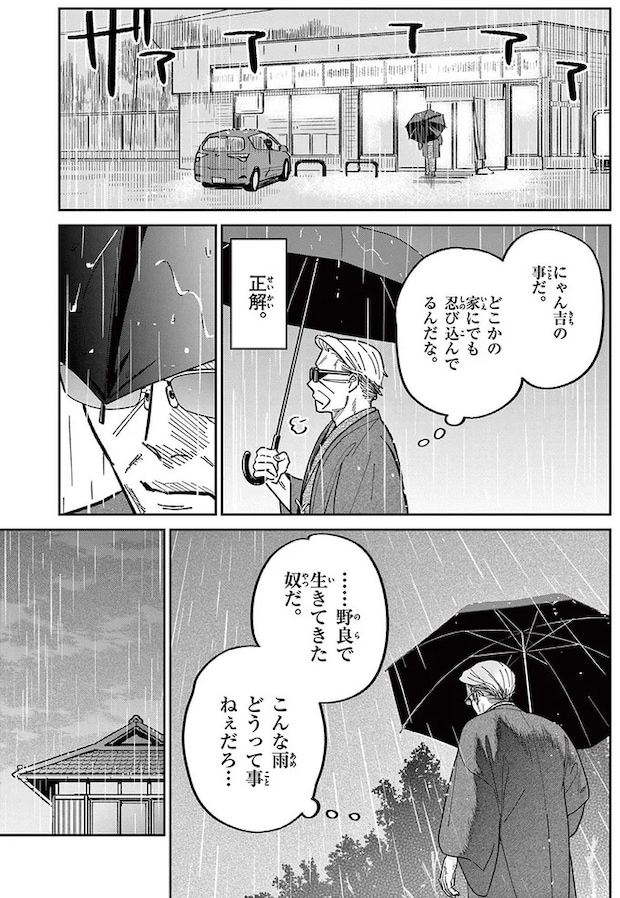 16212248.webp