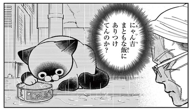 「まさか凍えてるんじゃ...」雨の日に姿を見せない野良猫を心配していたら...え?/オヤジとにゃん吉