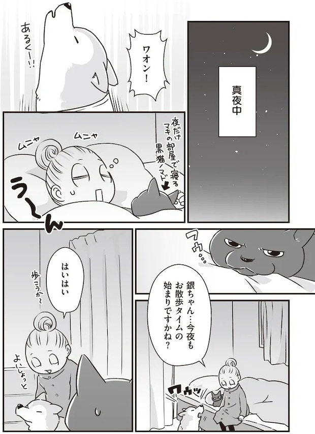 16295534.webp
