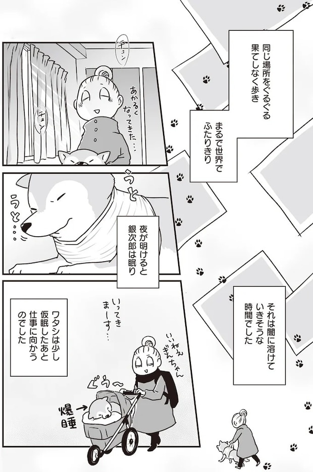 16295537.webp