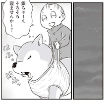 シニア柴犬との深夜の散歩。同じ場所をぐるぐる歩き、まるで世界で2人きりのよう...／愛犬グミと銀次郎と過ごした日々