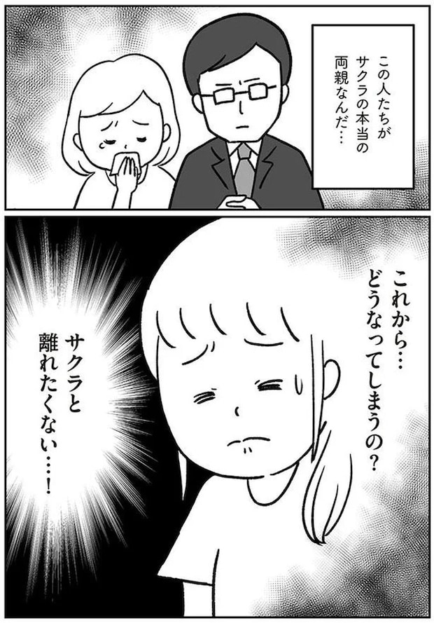16514476.webp