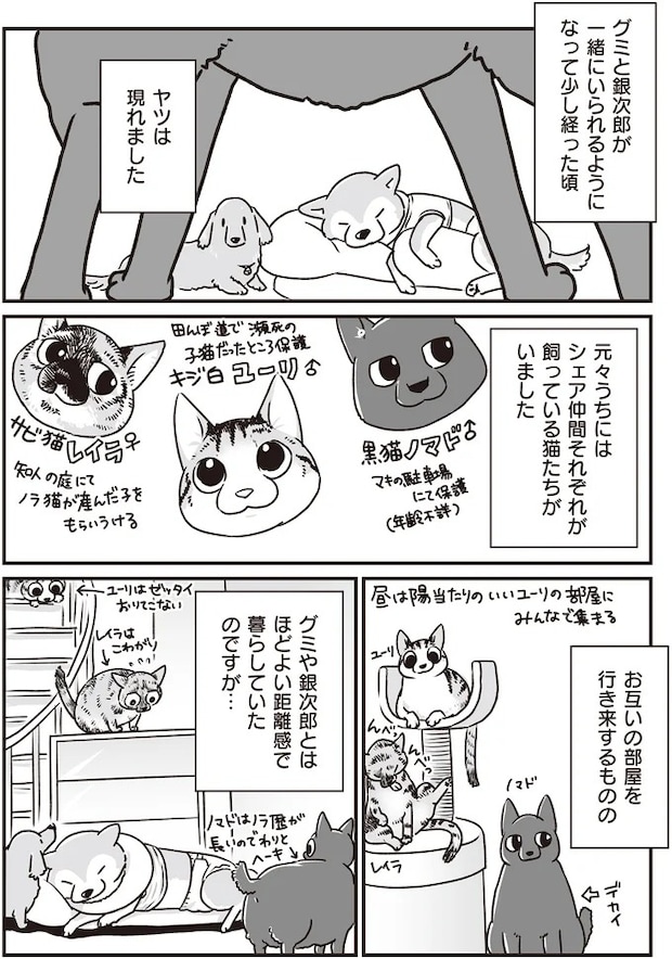 16295515.webp