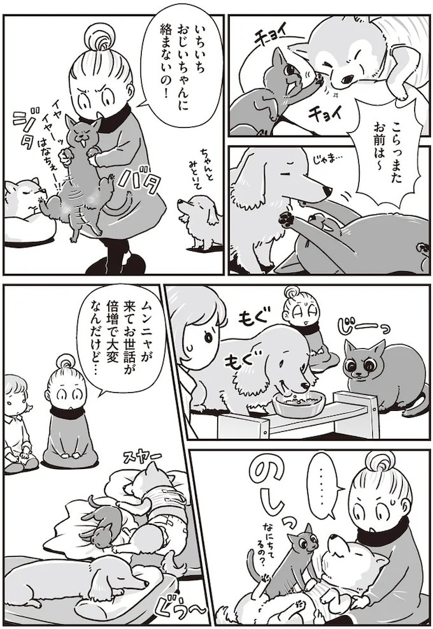 16295524.webp