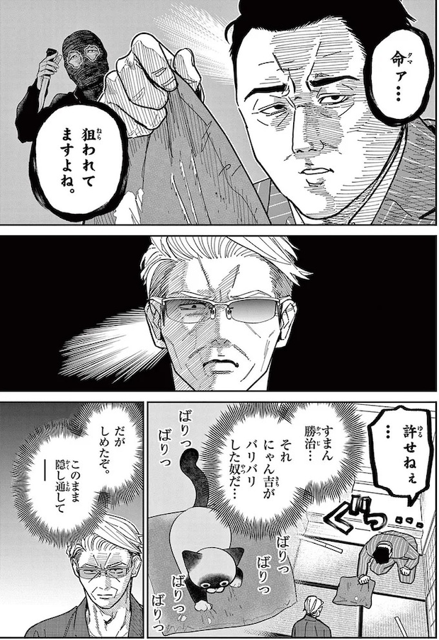 16212477.webp