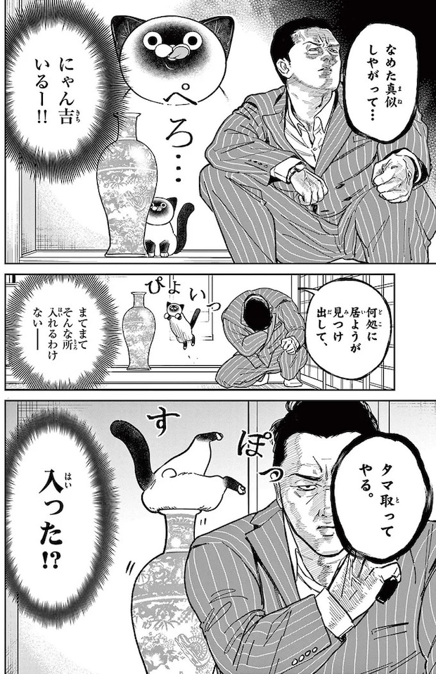 16212478.webp