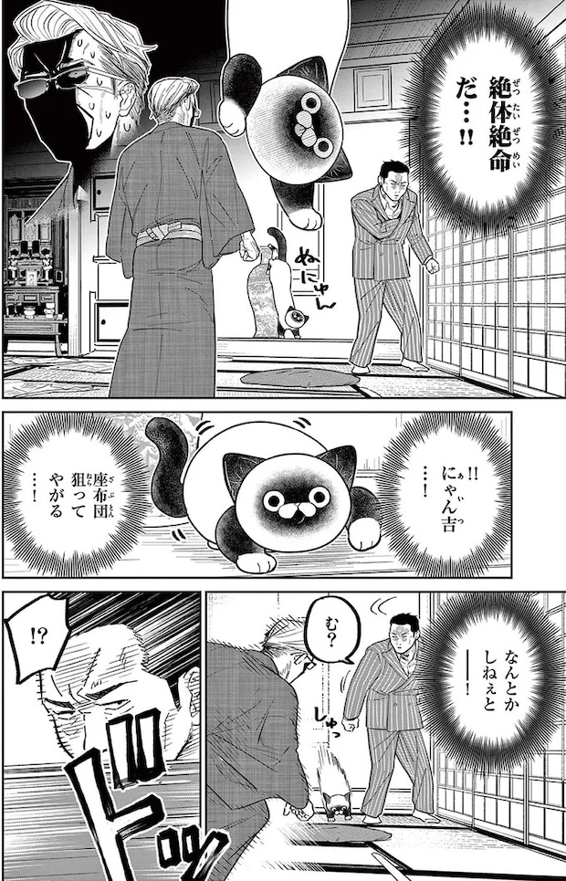 16212480.webp
